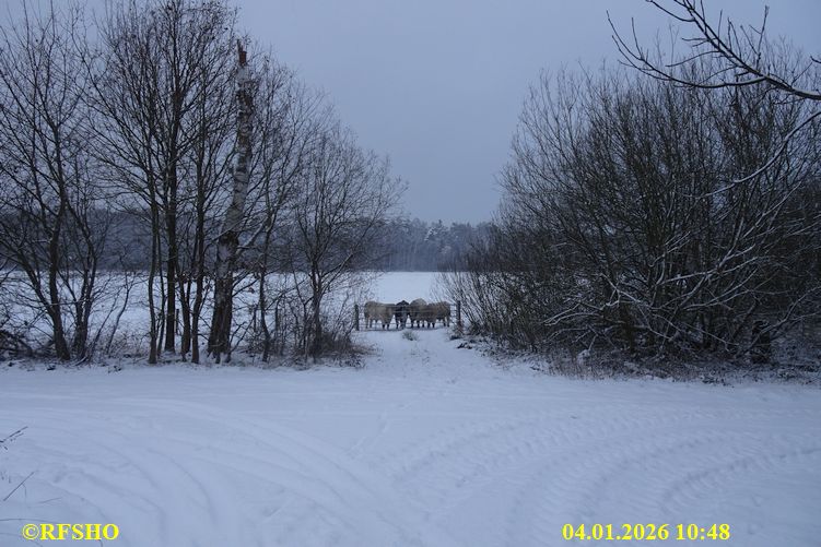 Ise, L&uuml;bingshorster Br&uuml;cke