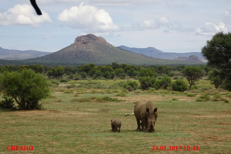 Safari Gocheganas Nature Reserve