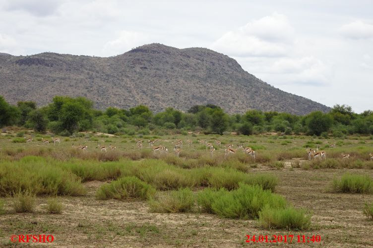 Safari Gocheganas Nature Reserve