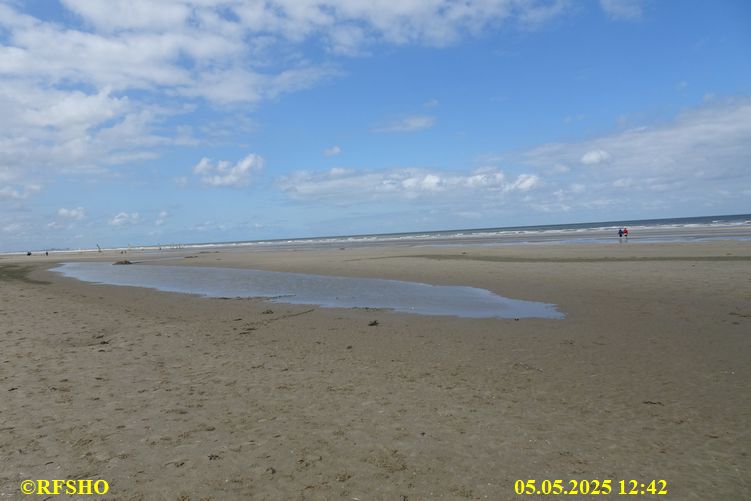 Panne