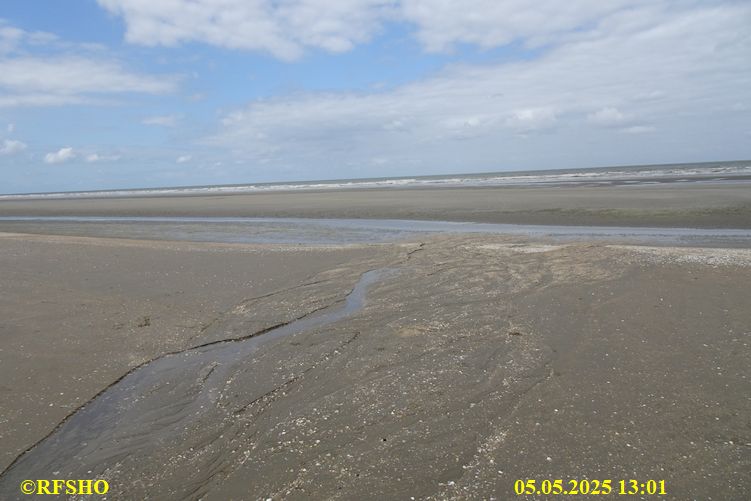 Panne