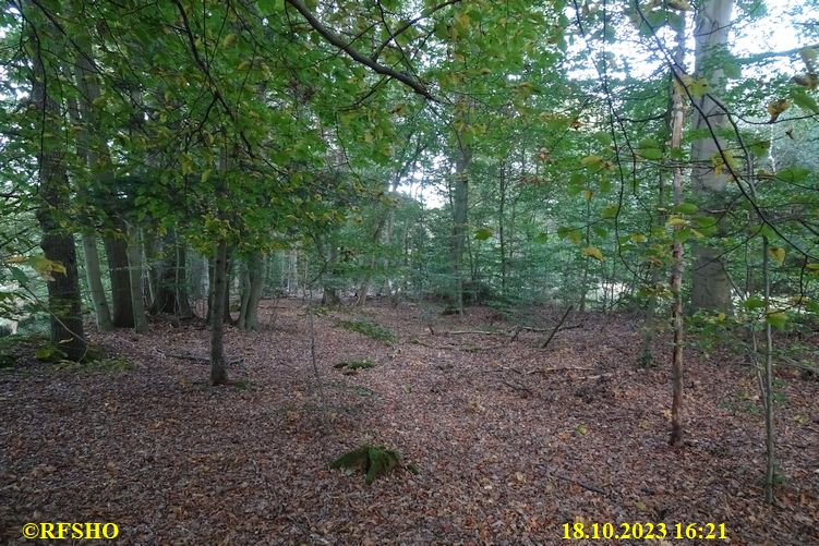 Marschstrecke, Wald am ehemaligen Wehr