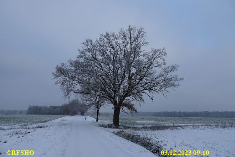 Schützenstraße