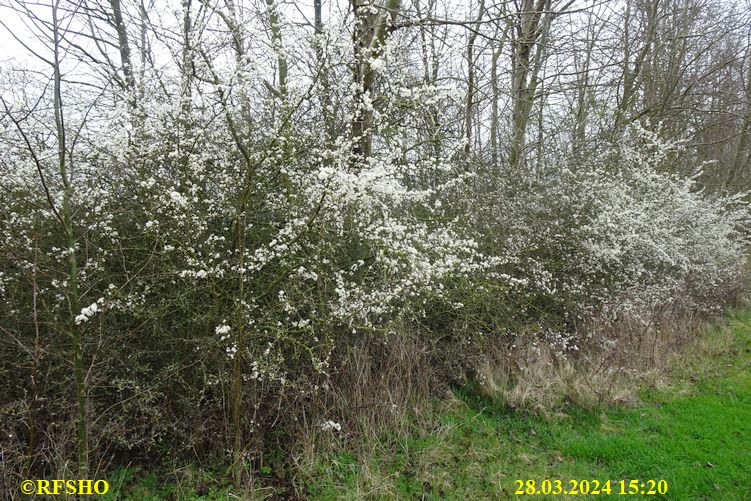 Marschstrecke, Neues Land Weg