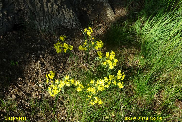 Marschstrecke, rund um Dalldorf