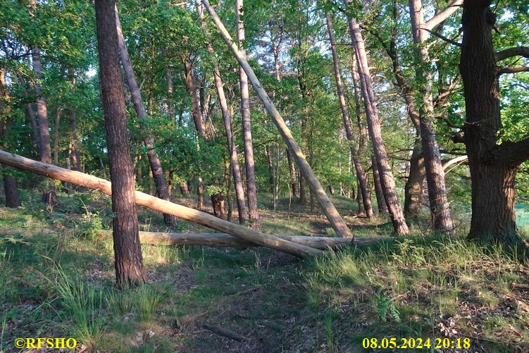 Marschstrecke, rund um Dalldorf