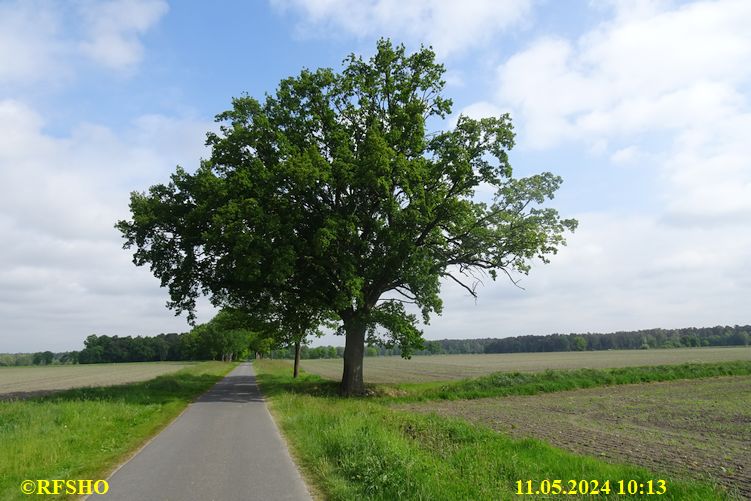 Marschstrecke, Schützenstraße