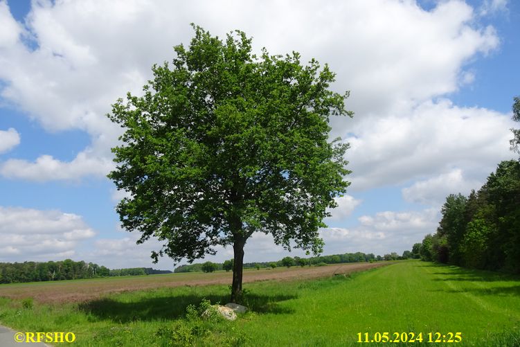 Marschstrecke Preussagstraße