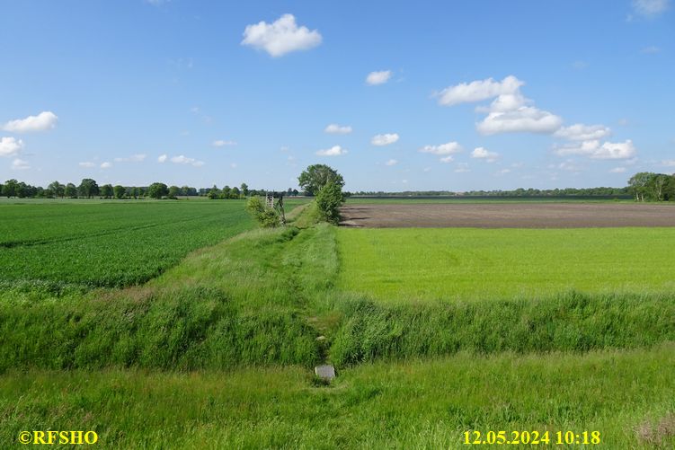 Marschstrecke Erdbrand am Elbe-Seitenkanal