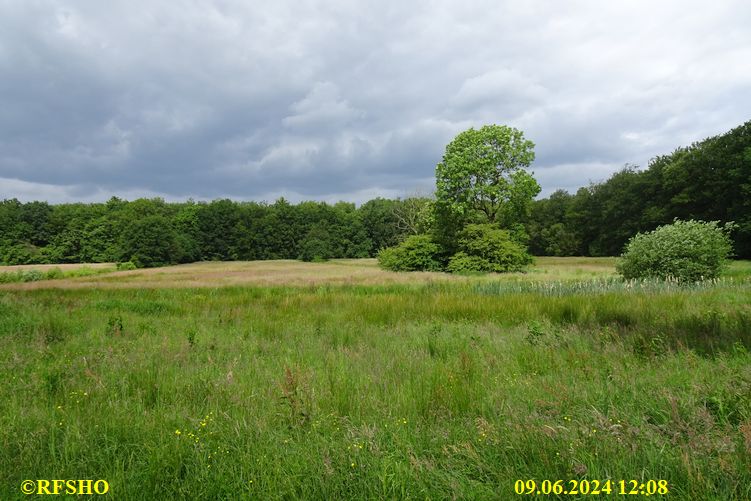 Ostfriesischer Freiheitsmarsch