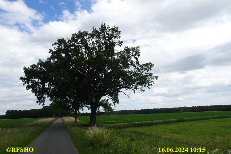 Marschstrecke, Schützenstraße