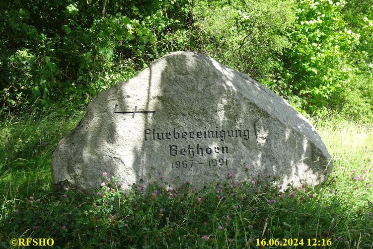 Flurbereinigung Betzhorn