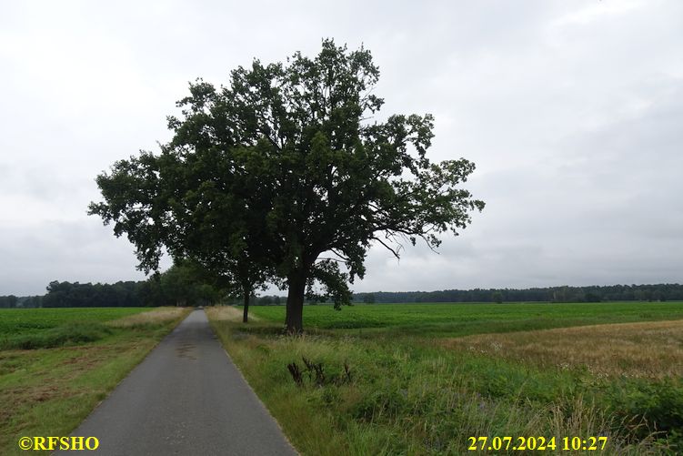 Marschstrecke, Schützenstraße