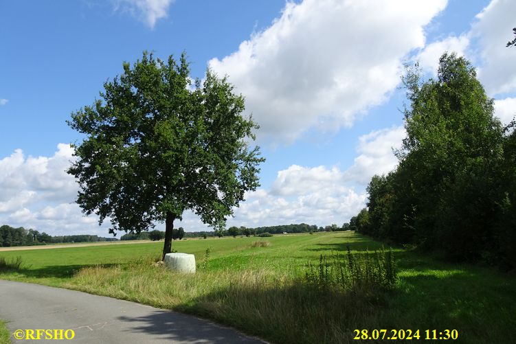 Marschstrecke Preussagstraße