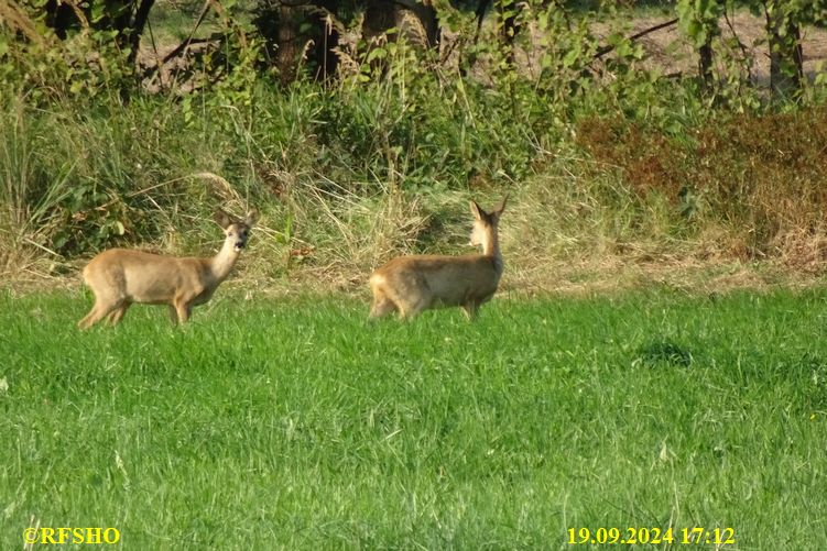 Marschstrecke, Neues Land Weg