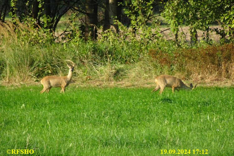 Marschstrecke, Neues Land Weg