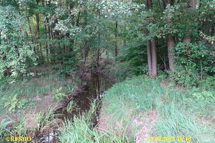 Marschstrecke Elbe-Seitenkanal, am Momer Düker