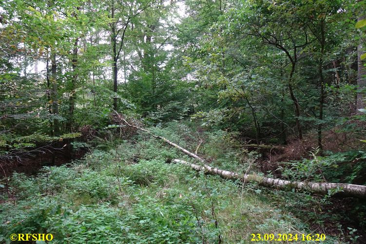 Marschstrecke Elbe-Seitenkanal, am Momer Düker