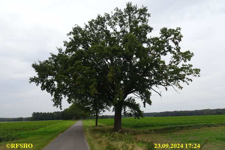 Marschstrecke, Schützenstraße