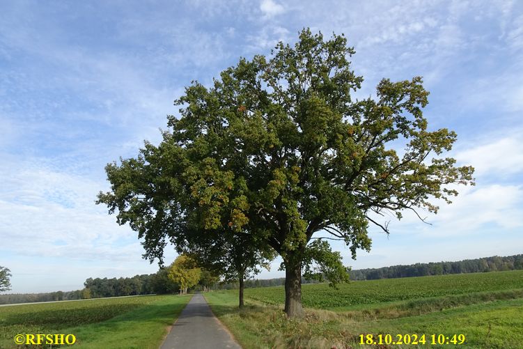 Marschstrecke Schützenstraße