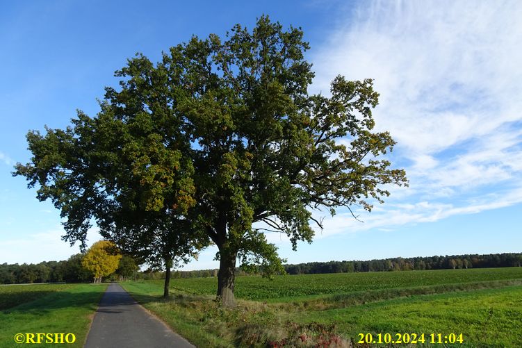 Marschstrecke Schützenstraße