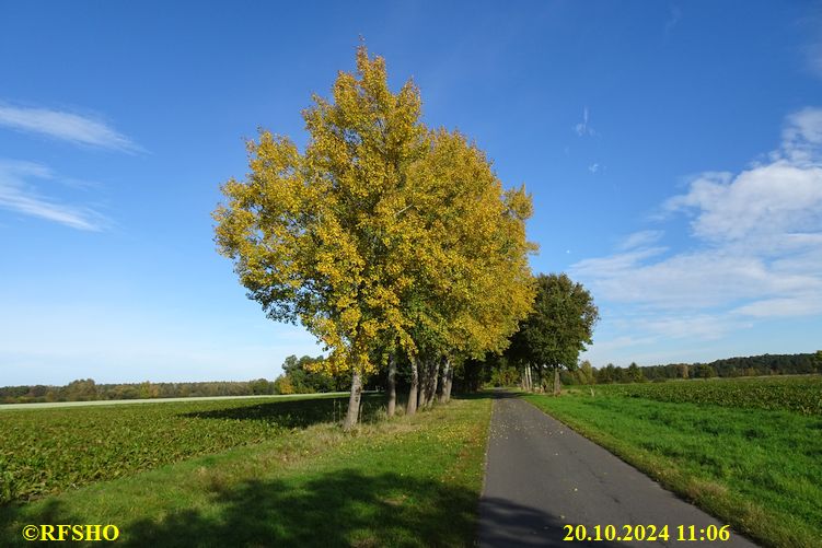 Marschstrecke Schützenstraße