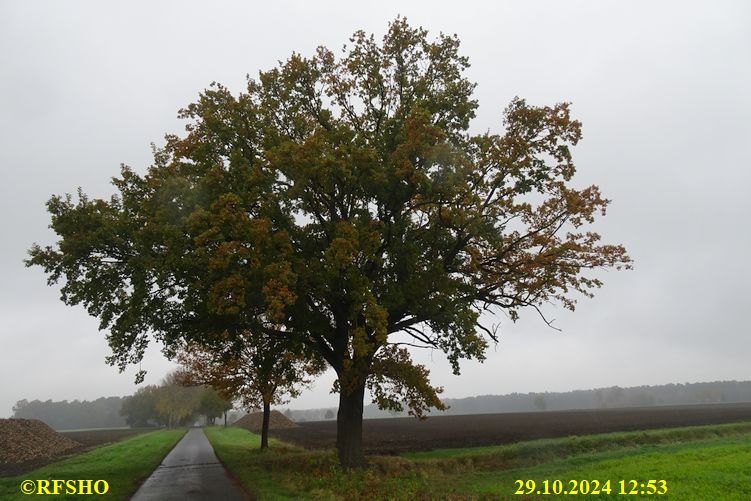 Marschstrecke Schützenstraße