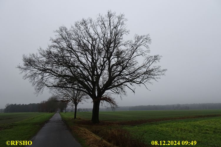 Marschstrecke Schützenstraße