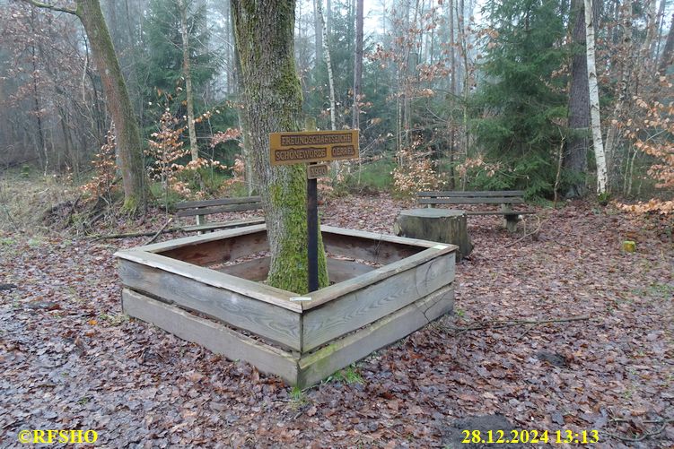 Freundschafseiche FA 2245