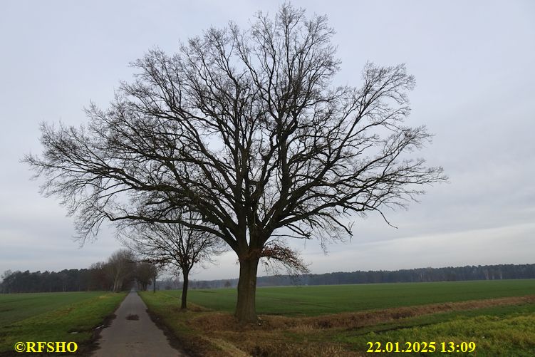 Marschstrecke, Schützenstraße
