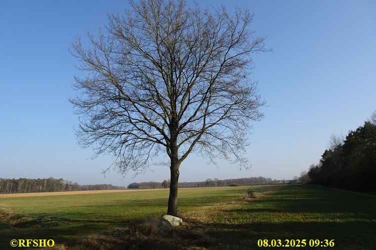 Marschstrecke, Preussagstraße