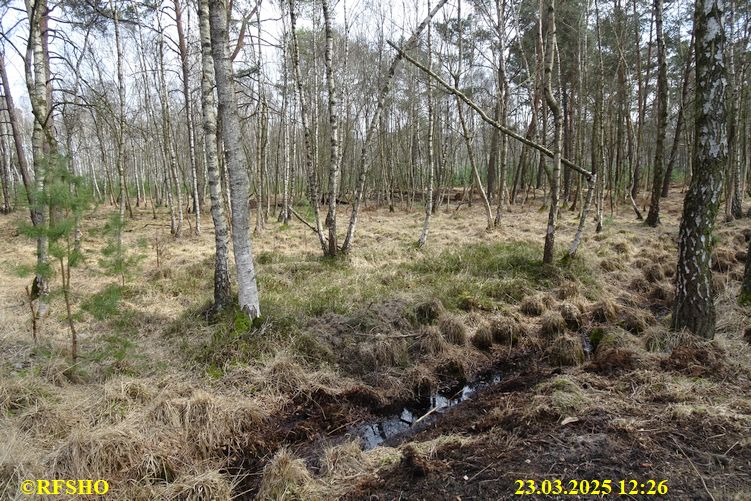 Marschstrecke, Schönewörder Moor