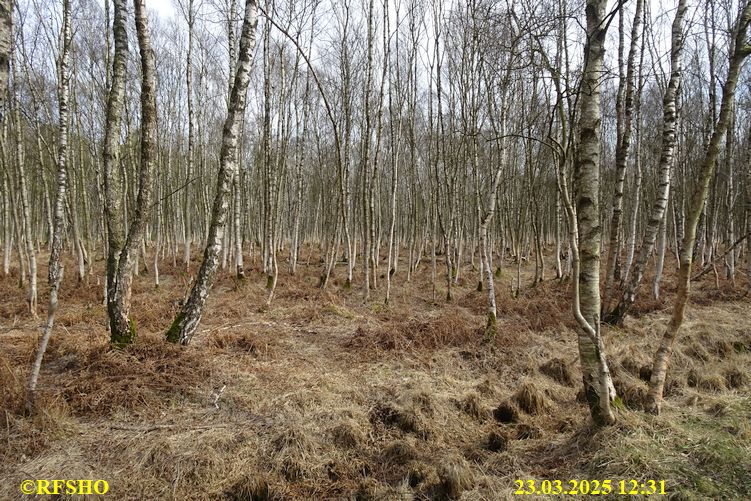 Marschstrecke, Schönewörder Moor