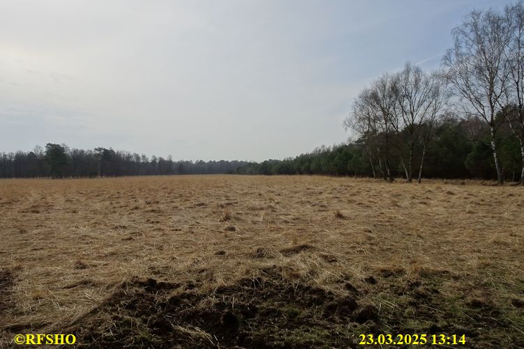 Marschstrecke, Schönewörder Moor