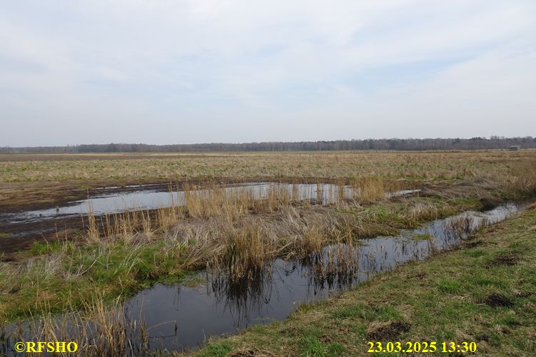 Marschstrecke, Schönewörder Moor