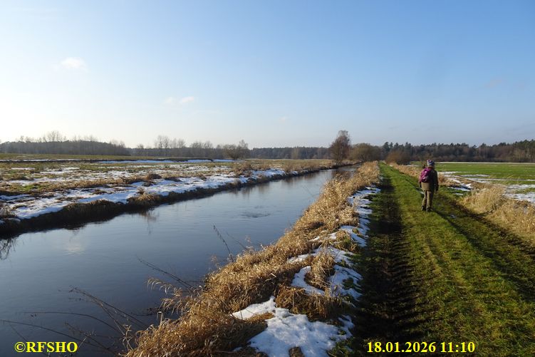 Ise, L&uuml;bingshorst Wiese