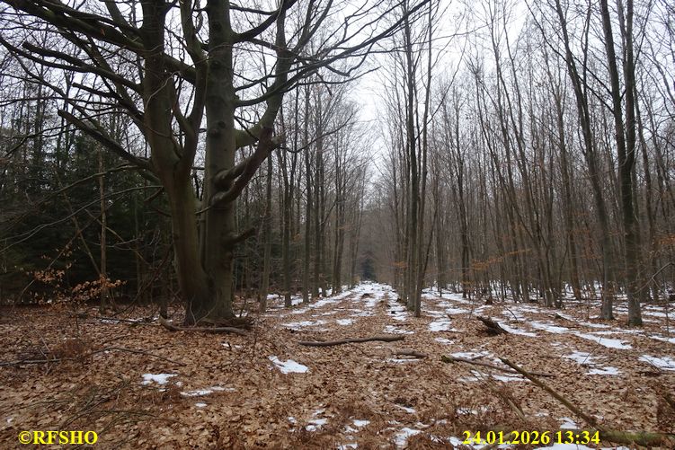 Marschstrecke  FA 2145