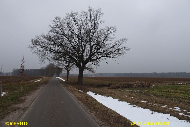 Marschstrecke, Sch&uuml;tzenstra&szlig;e