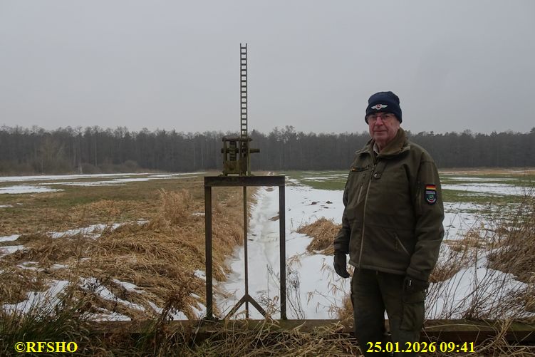 Ise, L&uuml;bingshorst Wiese