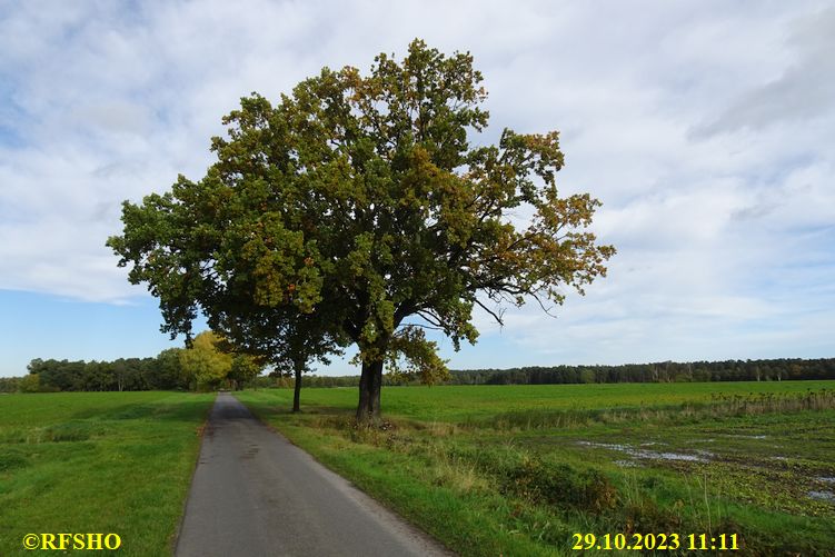 Schützenstraße