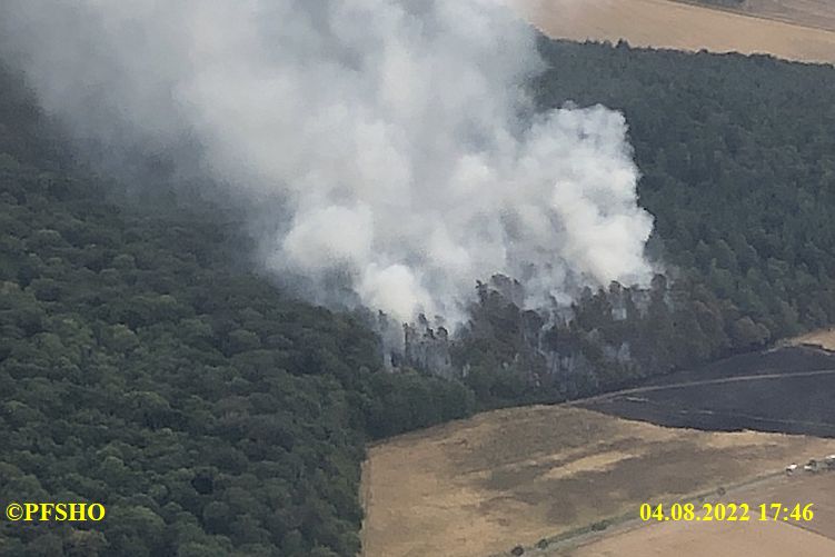 Waldbrand an der K5 zw. Scheppau und Lauingen