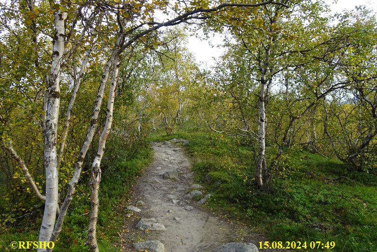 Marschstrecke Kilpisjärvi