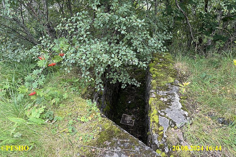 Sandnessjøen kystfort