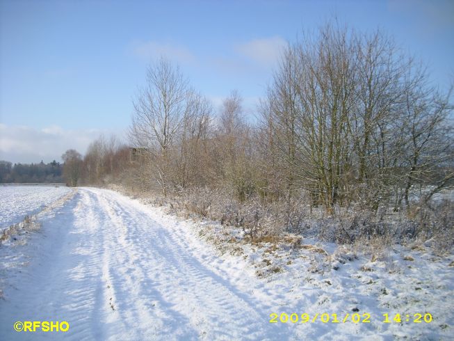 Winterwetter -2 °C (Neue-Land-Weg)
