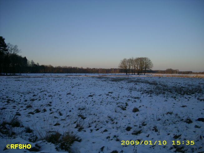 Winterwetter (Lootscheweg)