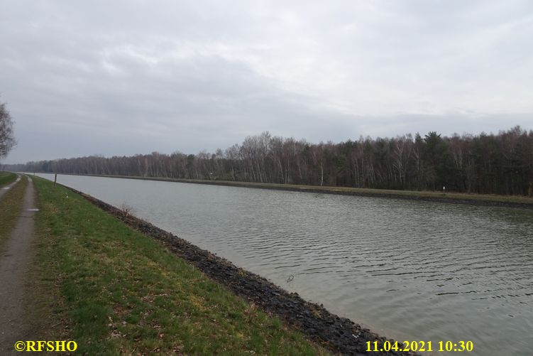 Moor am Elbe-Seitenkanal km 25,5