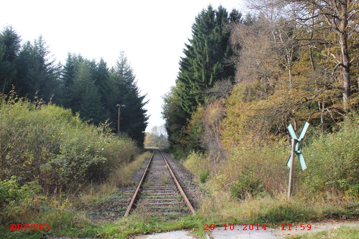 Hunsrück Bahn am Bahnhof Zolleiche