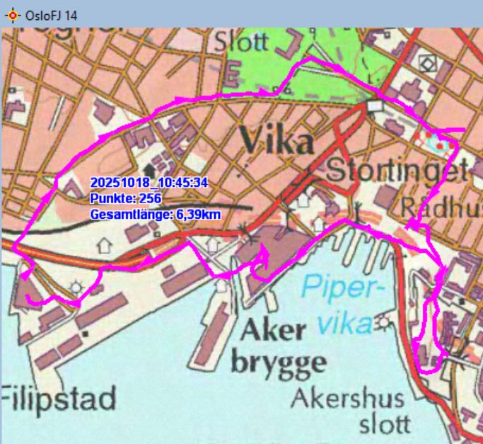 Marschstrecke am 18.10.2025