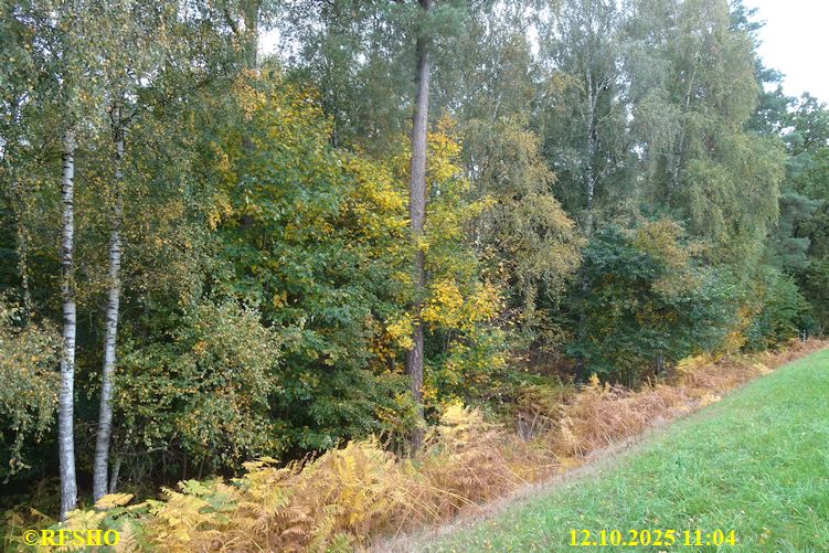 Marschstrecke am Elbe-Seitenkanal