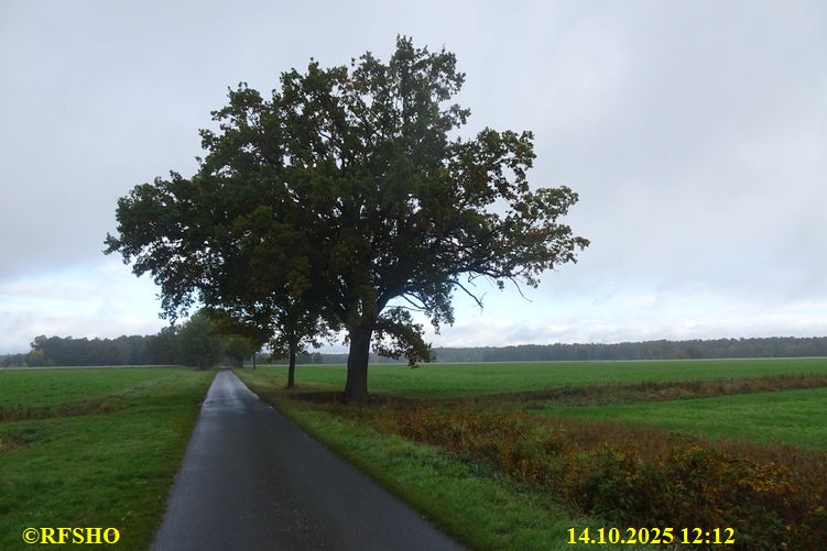 Marschstrecke, Schützenstraße